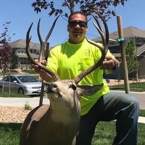 Meet your Posher, Joey